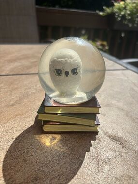 Owl Snow Globe on Stack of Books - White & Gold